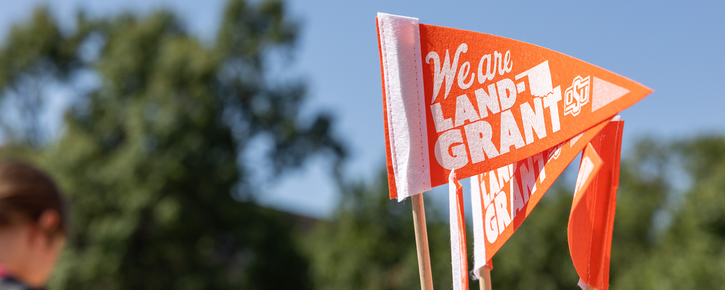 Close-up of small orange pennant flags that read “We are land-grant” with the OSU logo. The flags are held on wooden sticks, and blurred trees and a person in a red shirt appear in the background.
