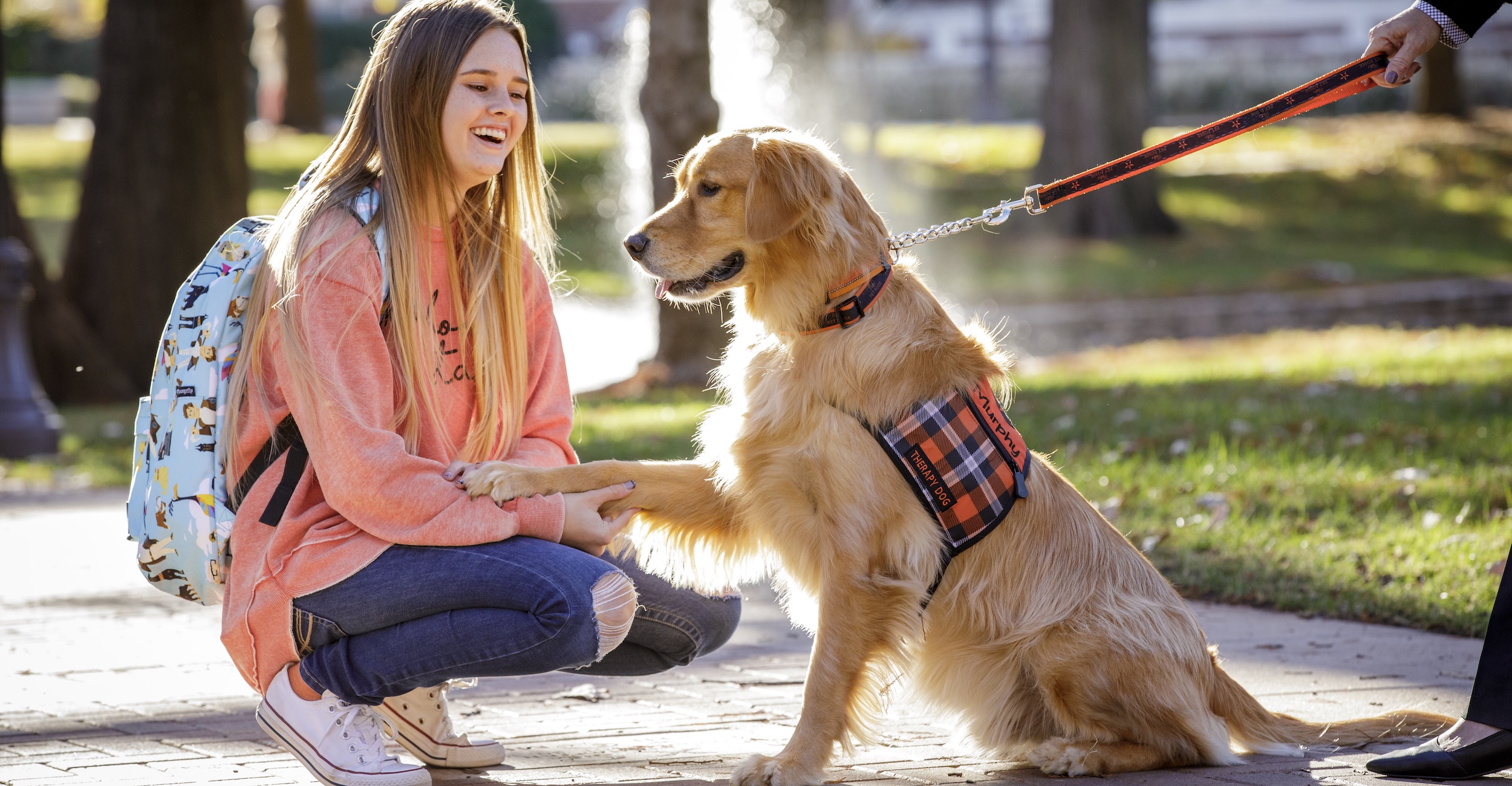 how does pet therapy help the dog