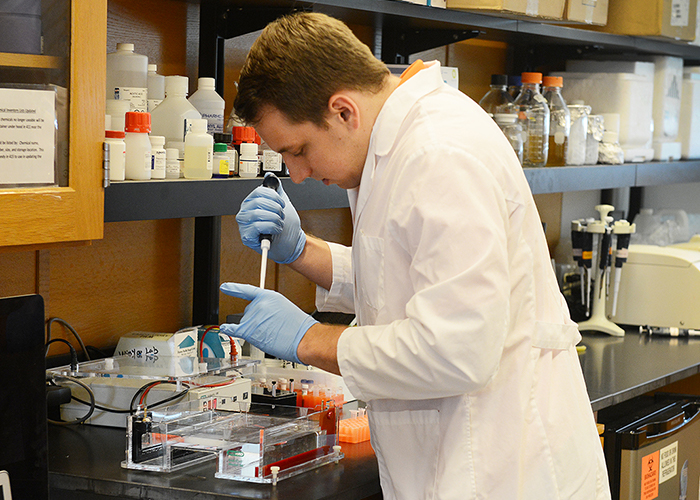 Niblack scholarships spark research careers Oklahoma State