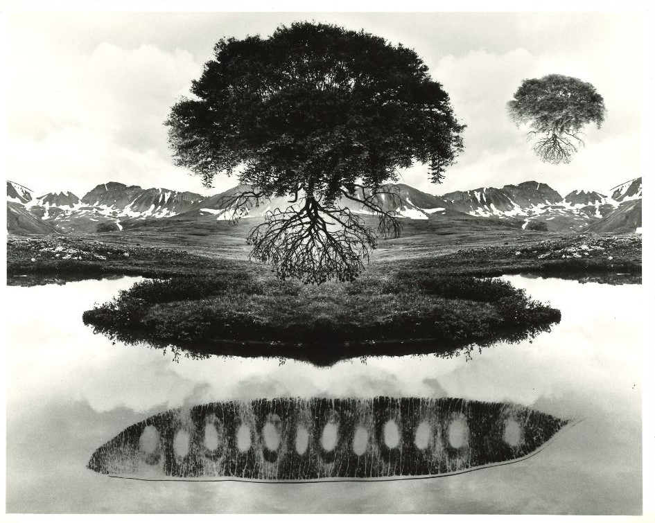 A black‑and‑white surreal image shows a tree with exposed roots mirrored over a reflective landscape, blending mountains, water, and organic forms into a symmetrical, conceptual composition.