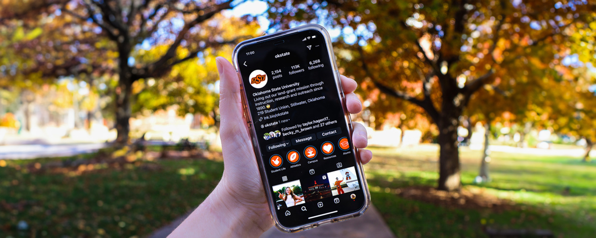 Orange flowers outside of library lawn.