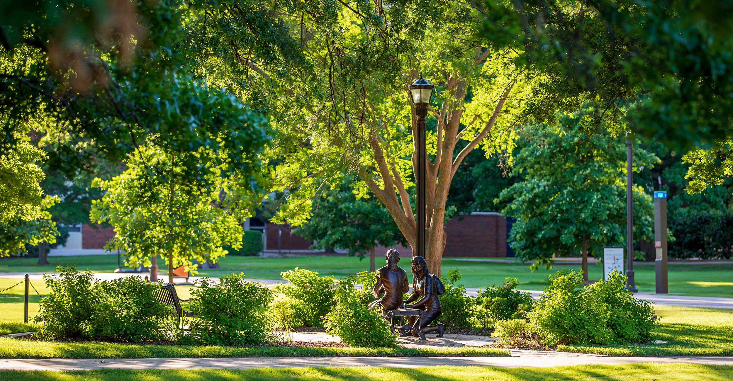 Trees on the campus of Oklahoma State University.