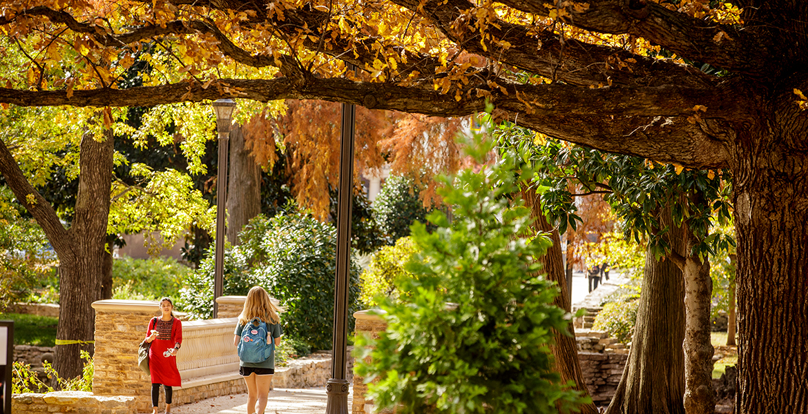 campus landscape