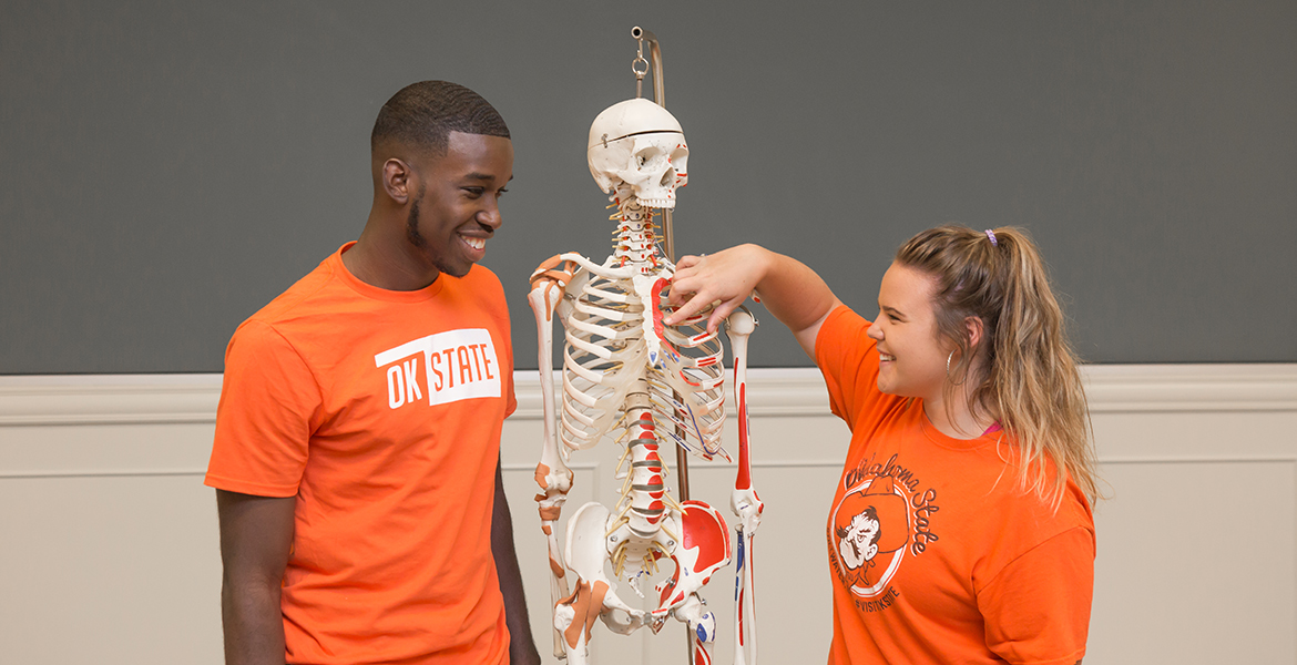students investigate skeleton