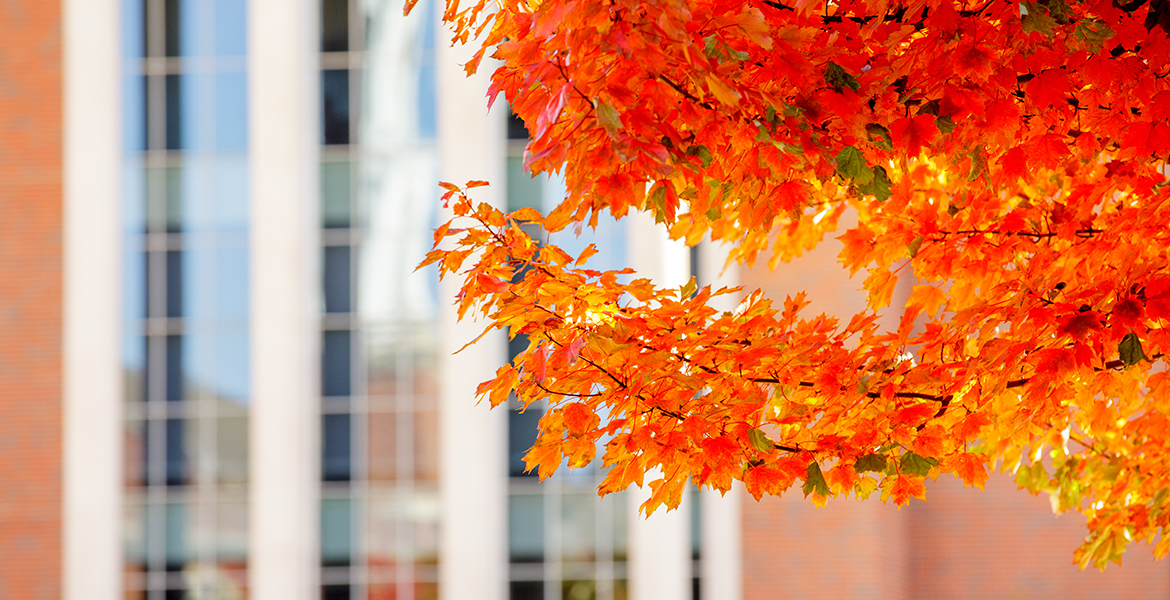 campus landscape