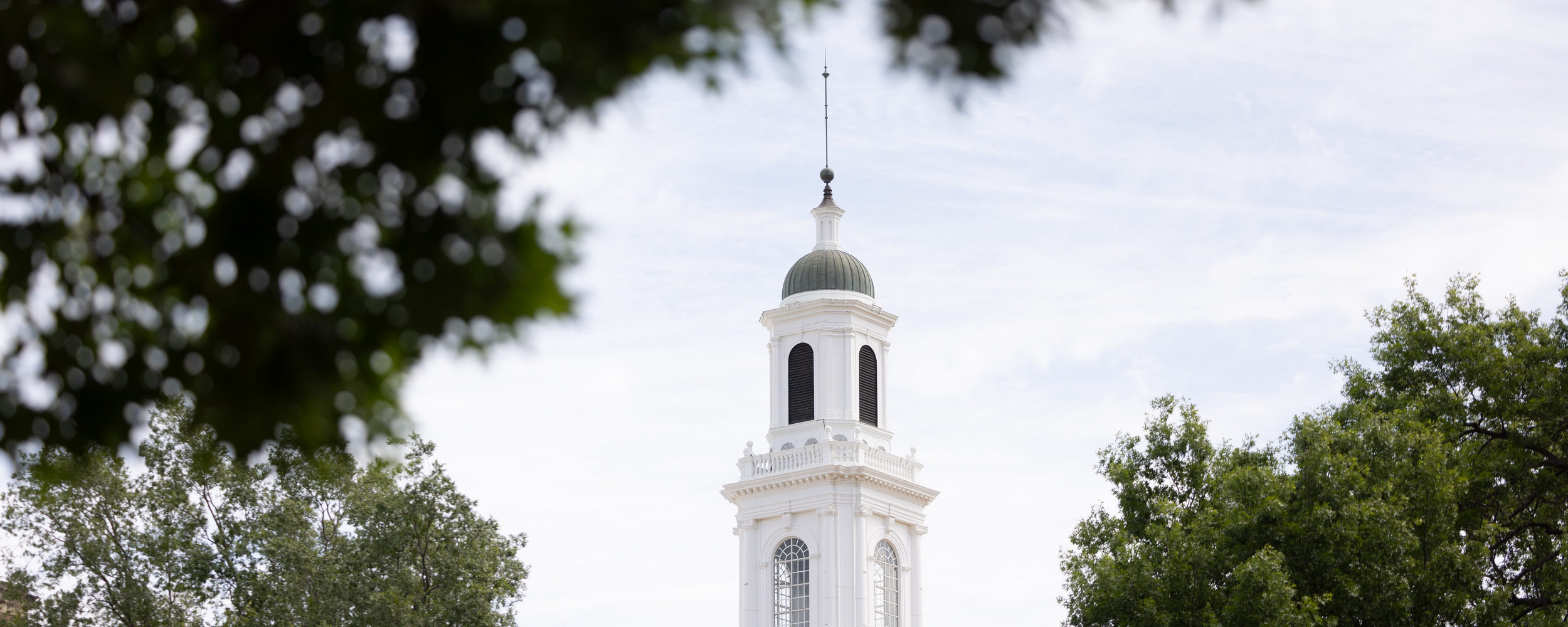 College of Education and Human Sciences named seven students as 2026 Outstanding Seniors