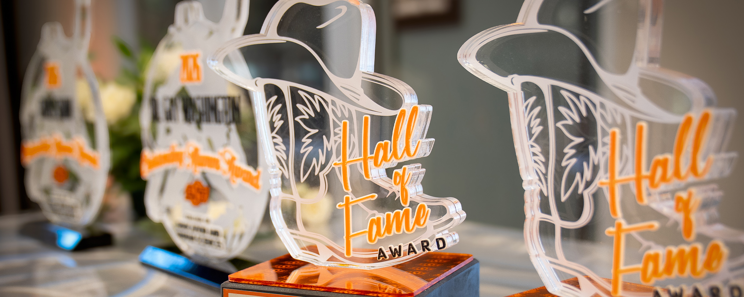 2026 College of Education and Human Sciences Hall of Fame awards banquet honors six alumni