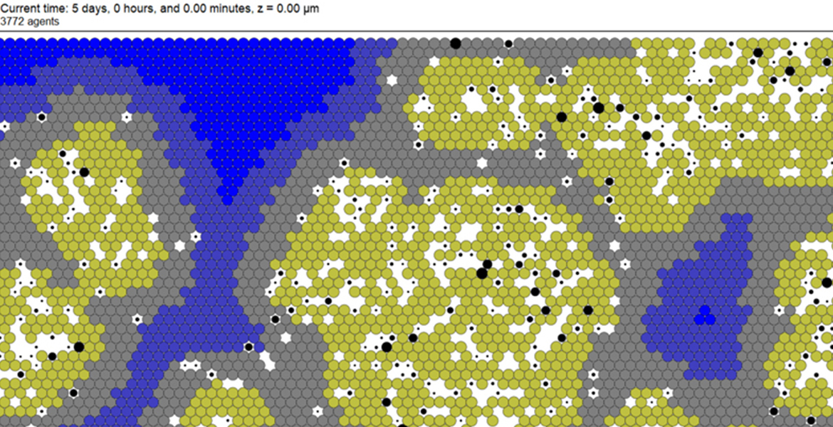 photo of a sample simulation result