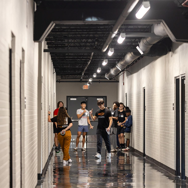 This is alt text for the image