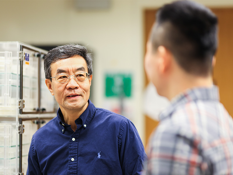Dr. Weili Zhang conducts research in his lab