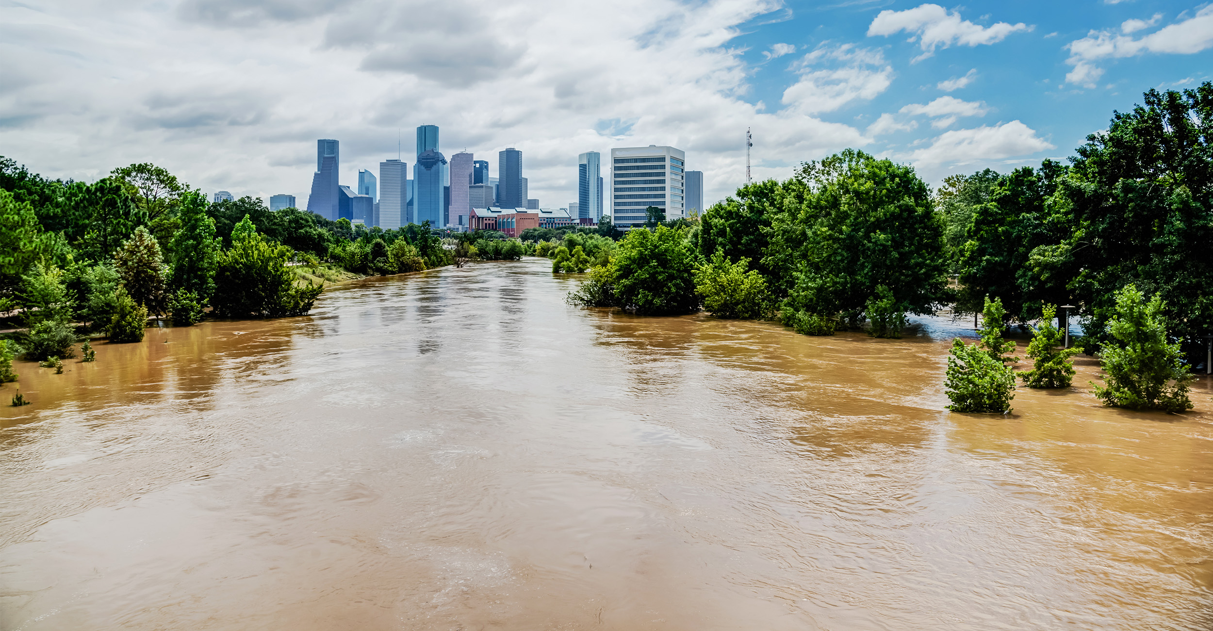 A wide view shows a swollen, muddy river flowing through dense green trees toward a distant city skyline of tall buildings under a partly cloudy sky, indicating flooding conditions near an urban area.