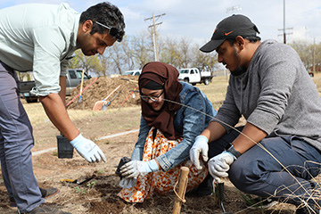 Three people kneel outdoors, collaboratively planting in a field. They wear gloves and casual clothes, with a few vehicles and trees in the background