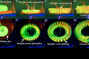 A composite image showing the formation and evolution of a vortex ring