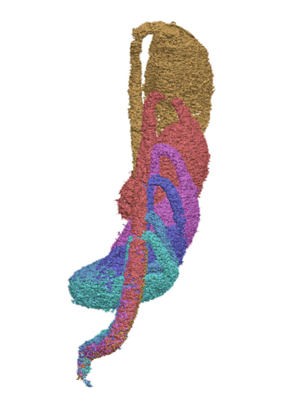 Colored 3D visualization of particle flow through a curved, hook-shaped geometry, with multiple overlapping trajectories shown in different colors against a light background.