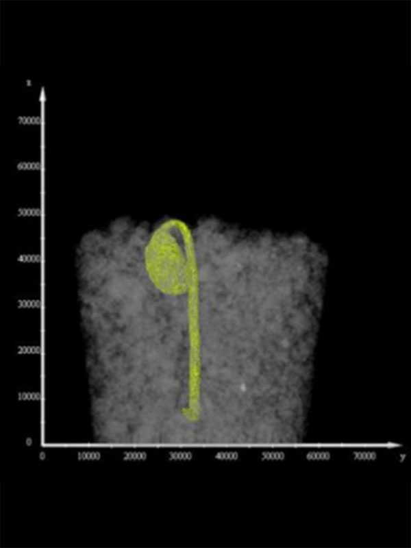 3D simulation image showing a hook-shaped object highlighted in yellow within a gray particle-filled volume. Coordinate axes are displayed around the model on a black background.