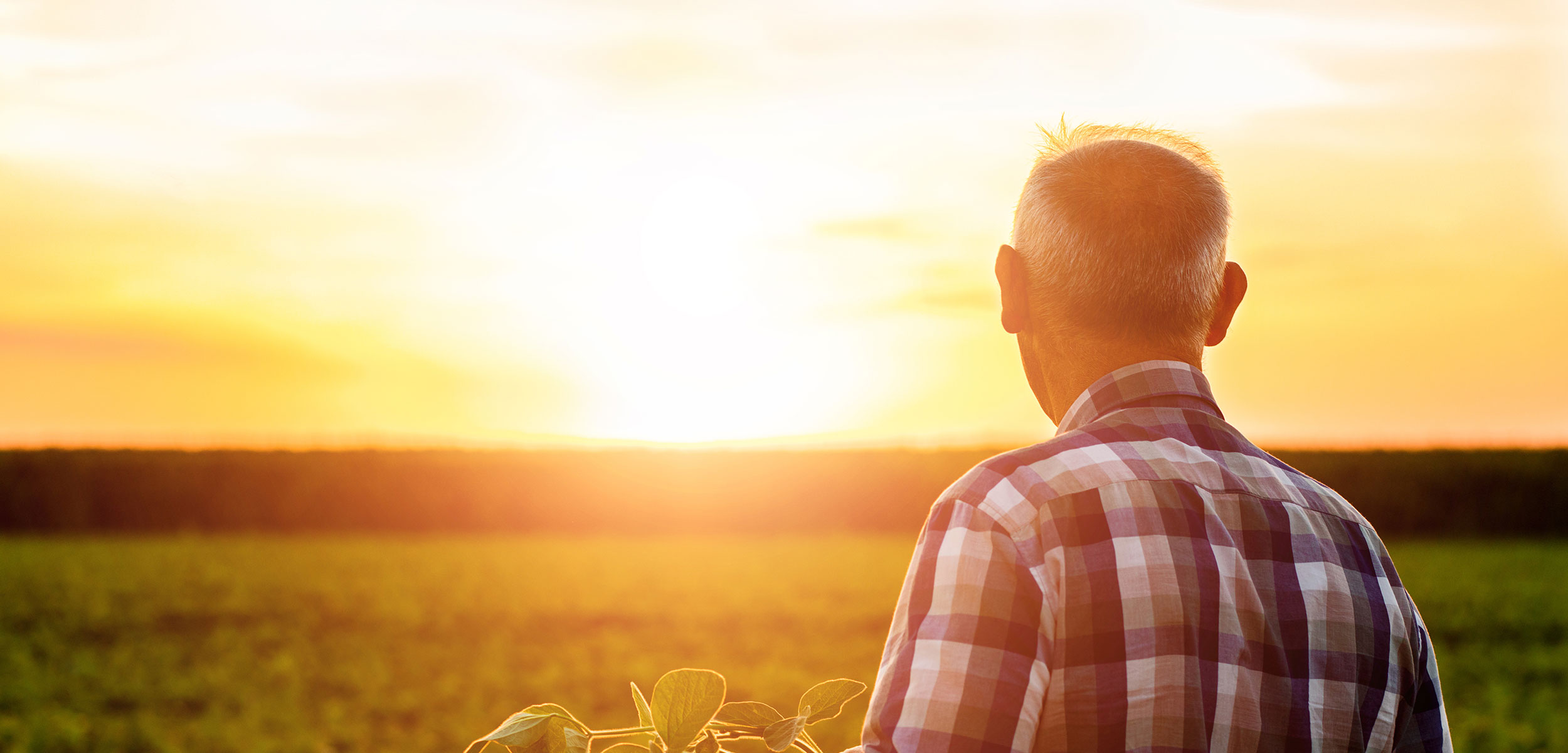 A farmer looks out over a field during sunset.