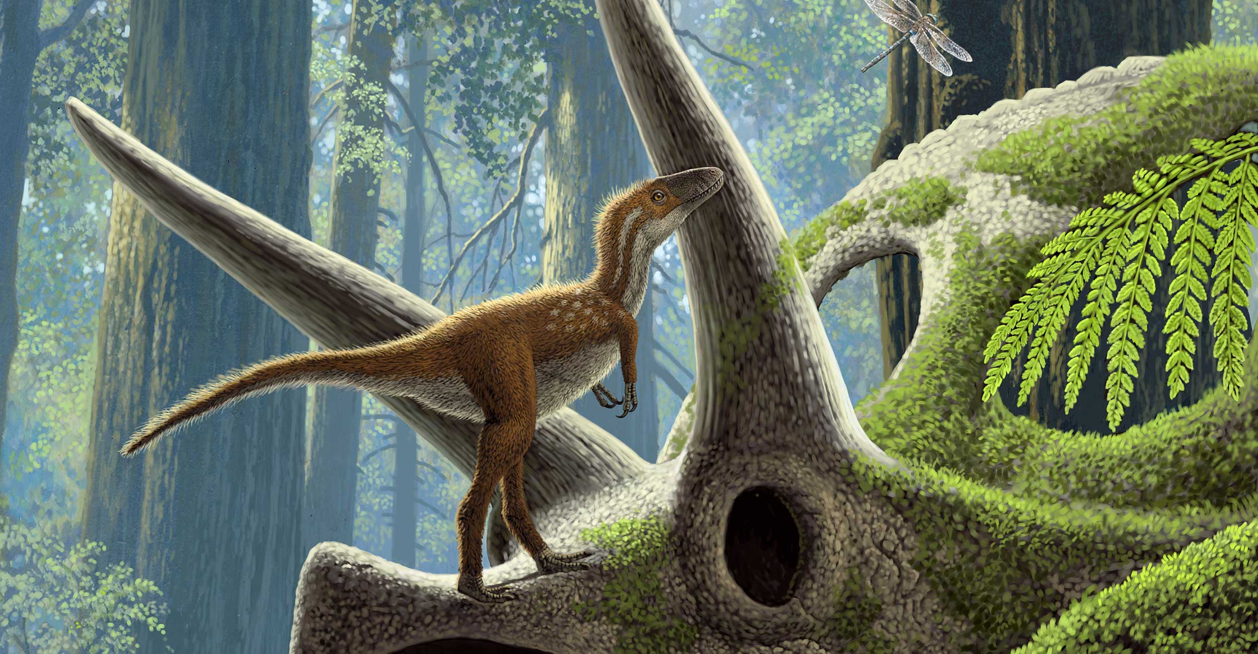 Baby T. rex were out of the nest and hunting early