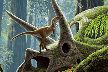 Artist rendering of a small T. rex hatchling standing in a prehistoric jungle.