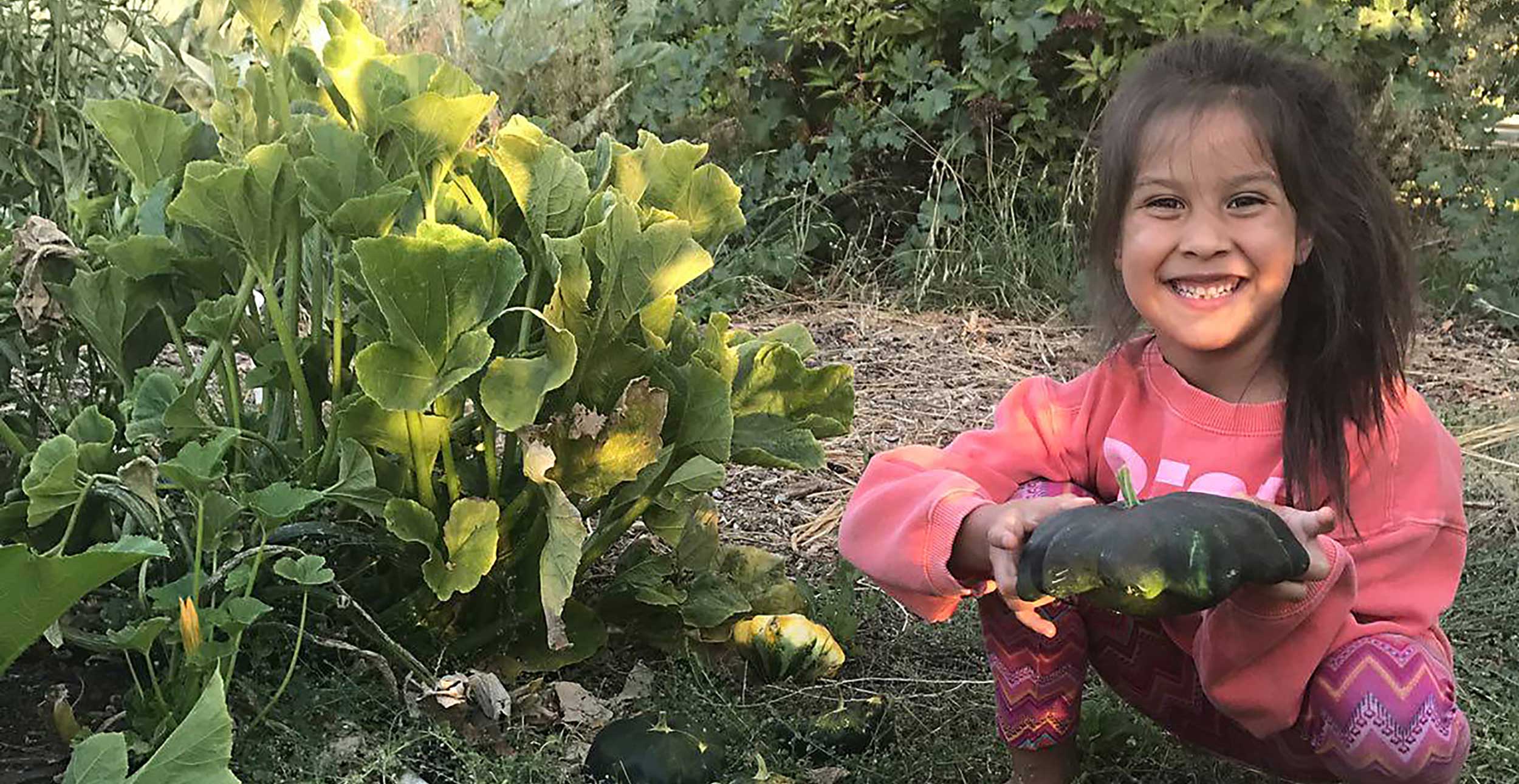 A young girl picks squash at the Osage Nation's Harvest Land Farm in Pawhuska, Oklahoma.