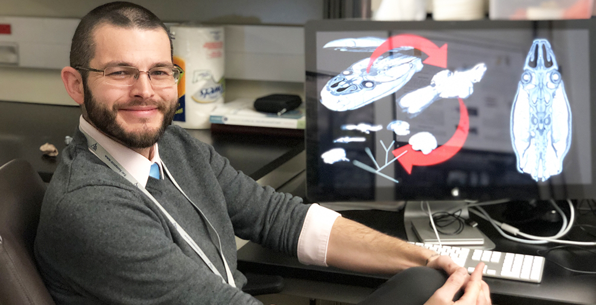 Dr. Paul Gignac in his lab at OSU Center for Health Sciences