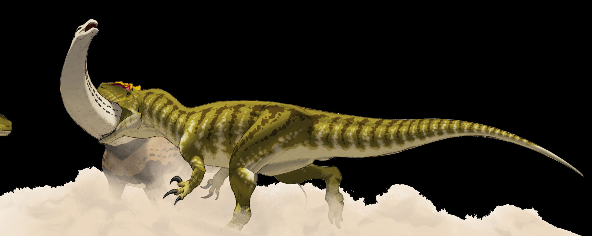 Allosaurus Allosaurus
