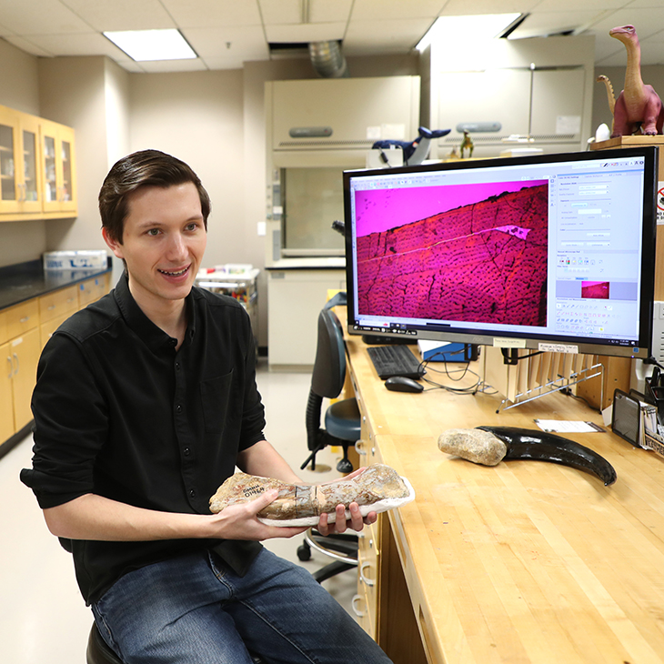 Andy Danison, anatomy and vertebrate paleontology Ph.D. student at OSU Center for Health Sciences, holds one of the fossils he analyzed to determine the maturity of a new genus of Allosaurus. 