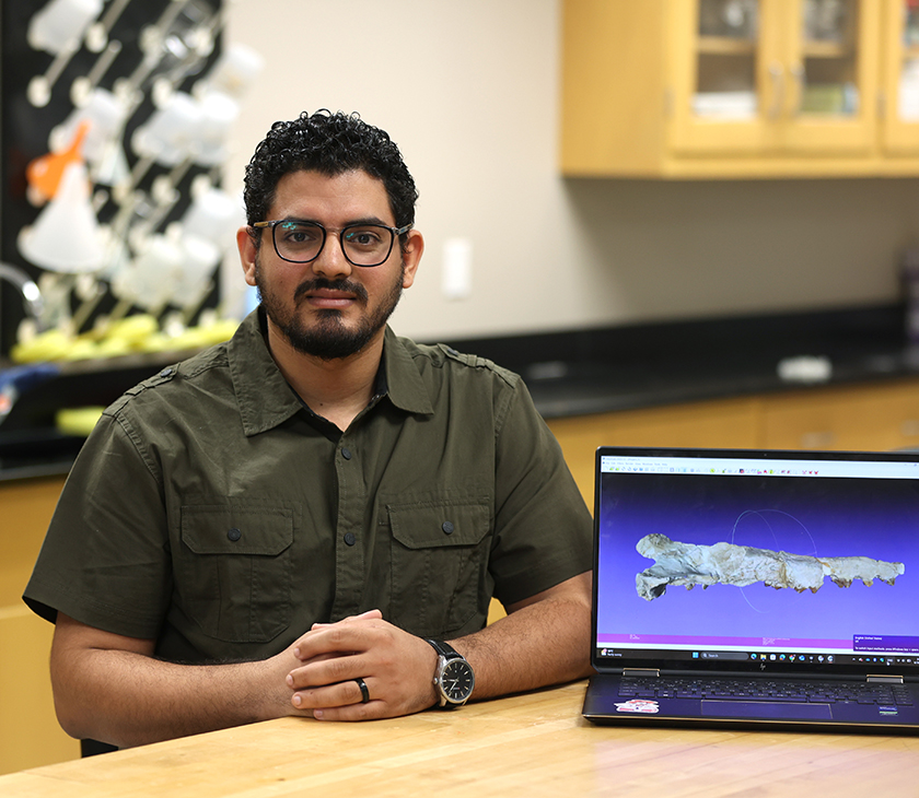 OSU Center for Heath Sciences Anatomy and Vertebrate Paleontology student Abdullah Gohar is researching prehistoric whales as they transitioned from land and semi-aquatic mammals to fully aquatic mammals.