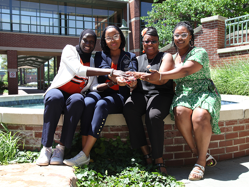 This is alt text for the image