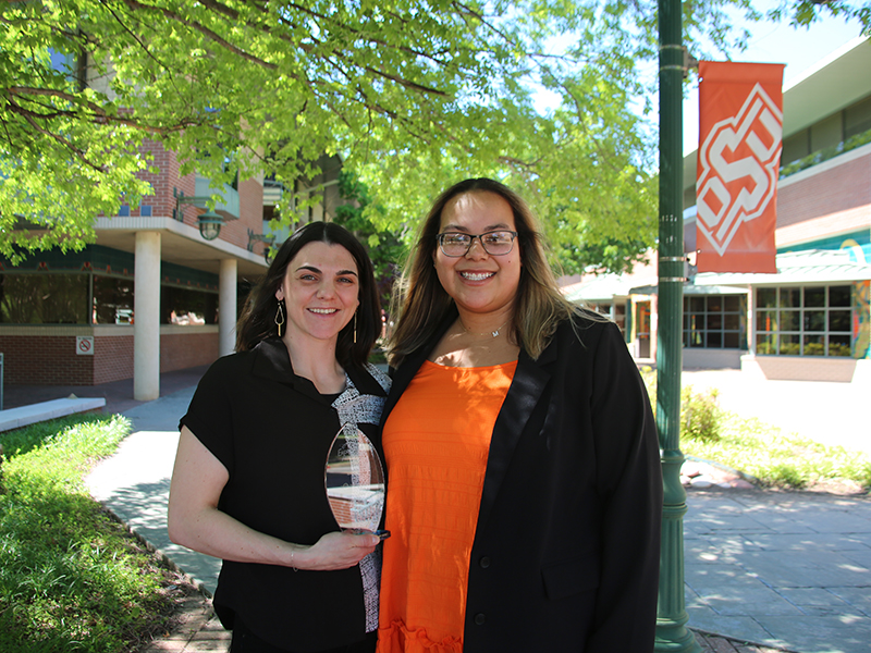 This is alt text for the image