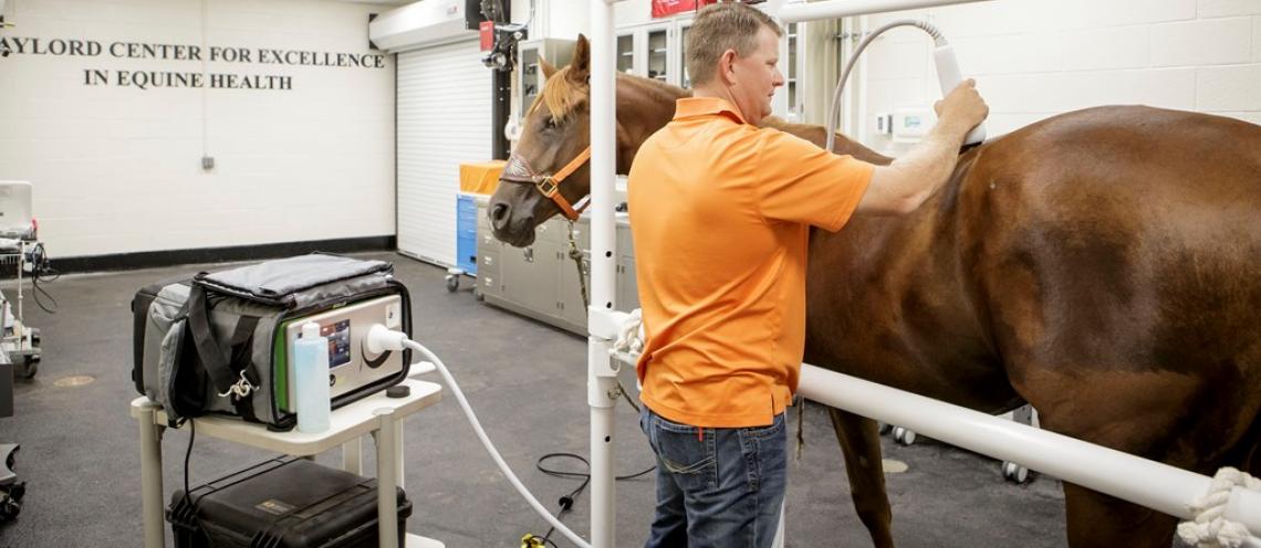 New Options for Horses