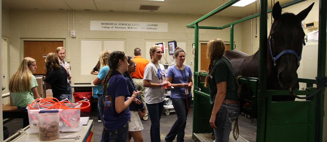 4-H Members Visit OSU