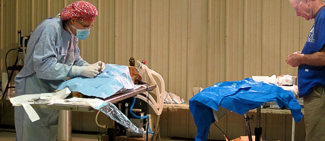 The Overpopulation Problem