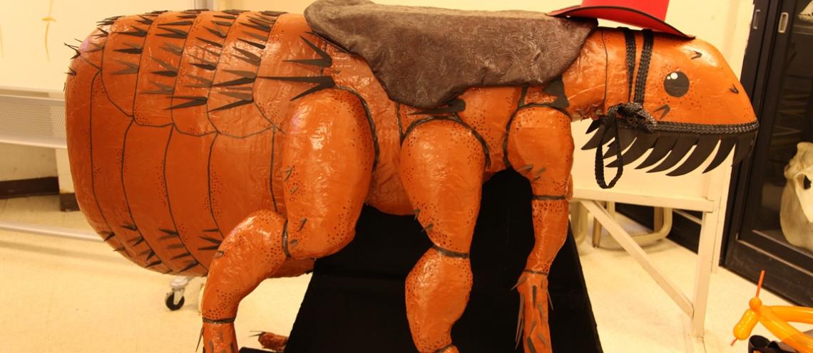 A giant artificial orange and black flea wears a saddle and cowboy hat while being held by a person.