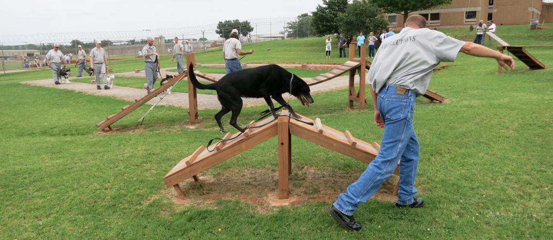 A man in a gray shirt and blue jeans runs alongside a black dog in a field.