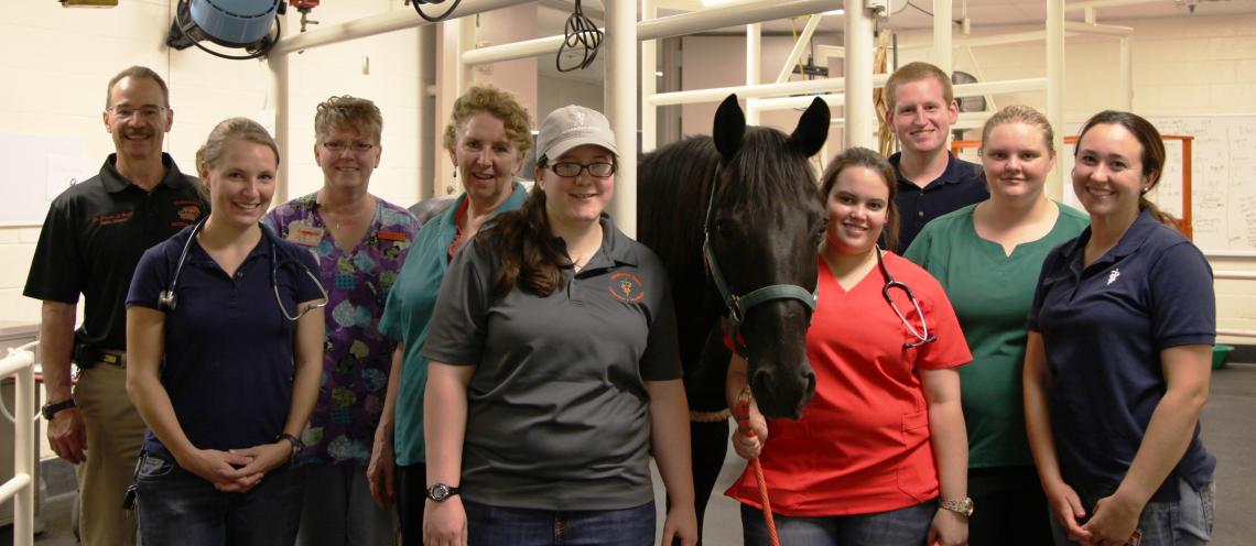 Nine people stand in a lab surrounding a dark horse.