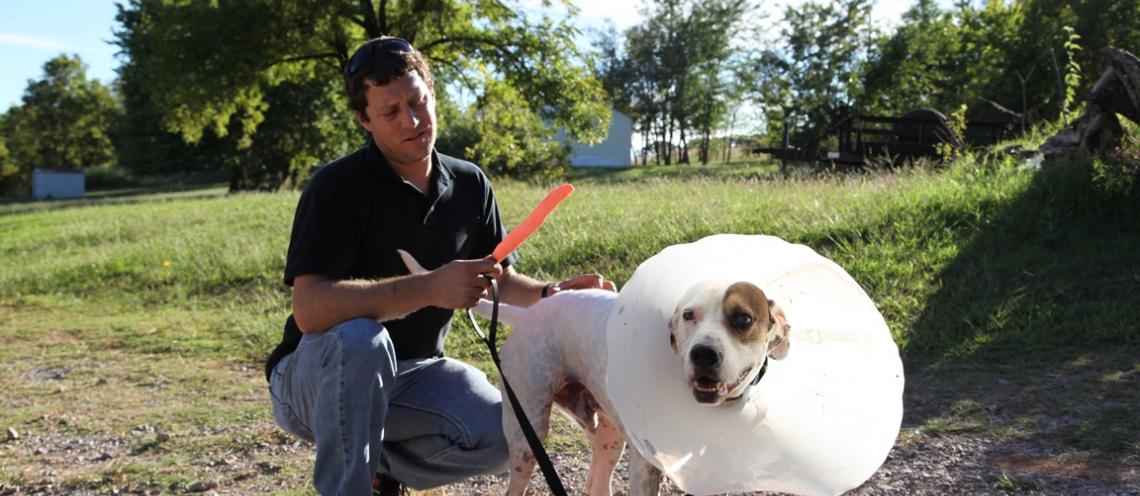 A white dog with a cone on its neck stands next to a crouched man.