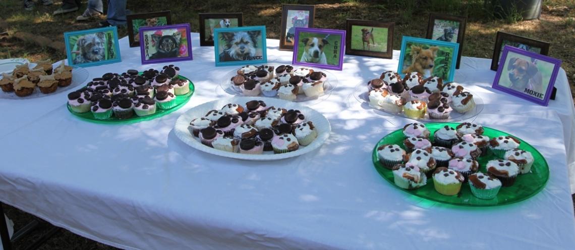 Cupcakes sit on plates as pictures of dogs sit behind them on a table.