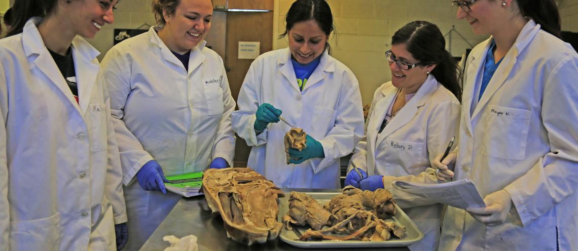 Top TA on Campus Honored