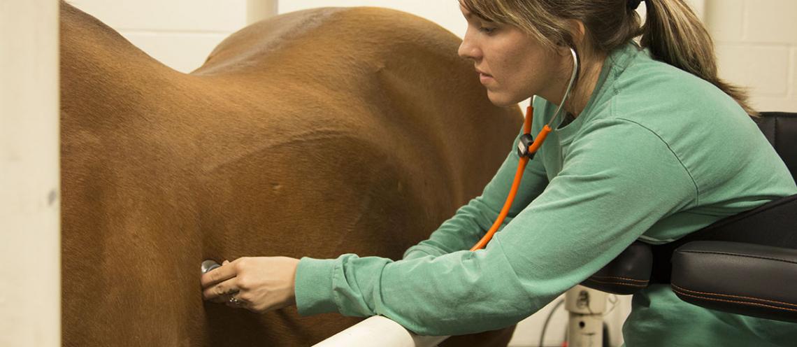 The Standing Experience