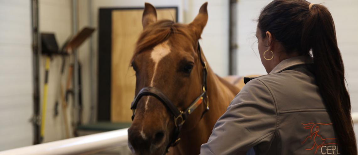 CVHS Invests in CEPL