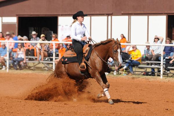Biosecurity for Horses