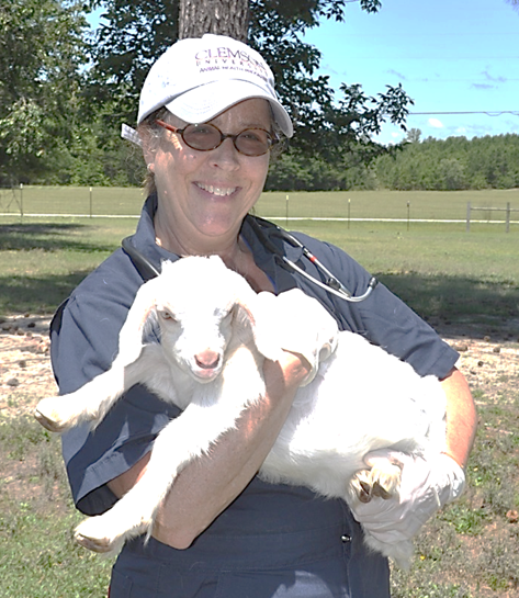 Krugler Named Distinguished Veterinarian of the Year