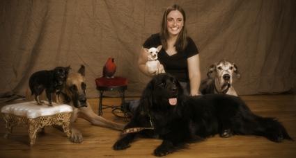 A Caucasian woman sits with five dogs surrounding her as she holds a small dog.