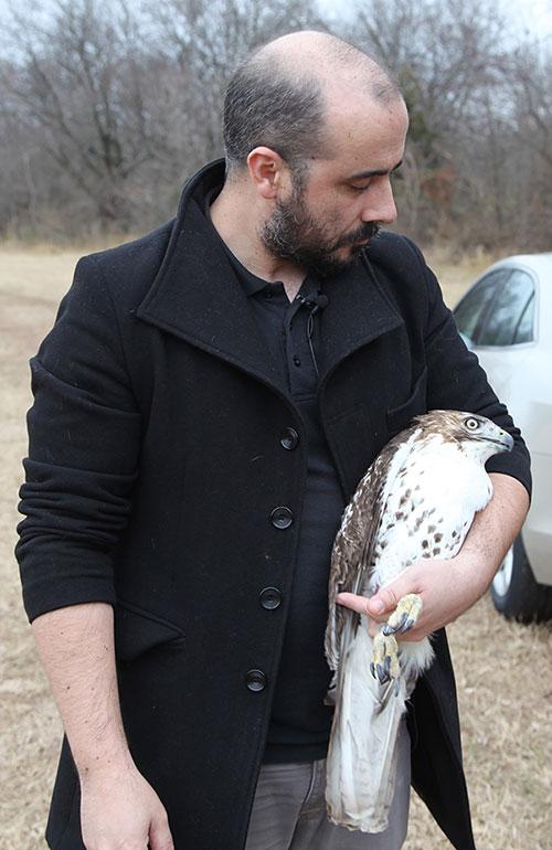 Returning Lucy to the Wild