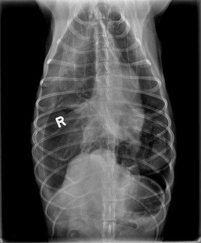 Something Good from Something Bad