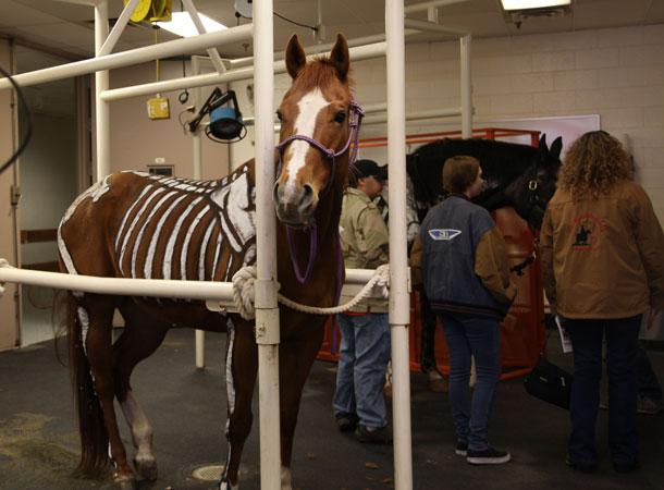 Open House Hits Record Attendance