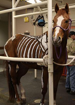 The Public is Invited to Open House 2017