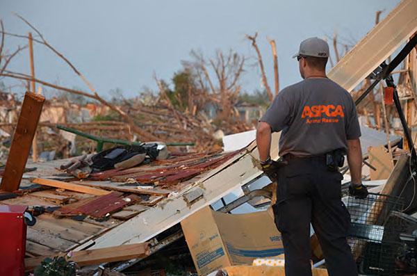 Payne CART Receives ASPCA® Grant