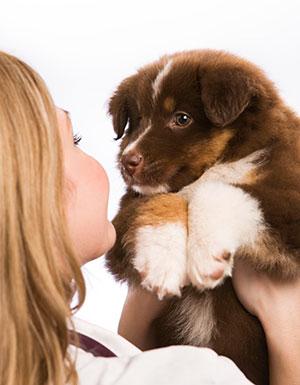 Responsible Pet Owner