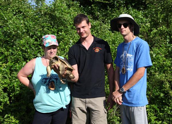 Snapping Turtle Released